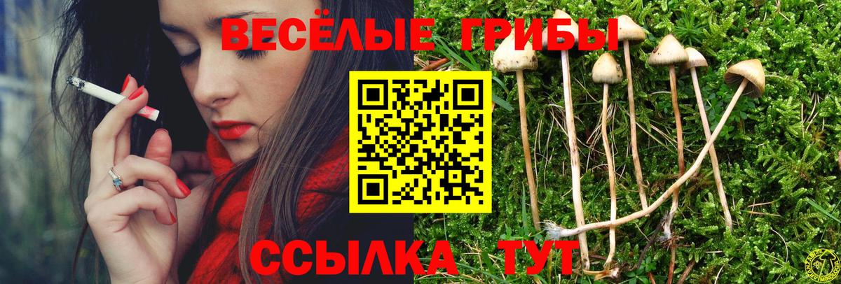 Рославль  Галлюциногенные грибы Cubensis  Вход с VPN 